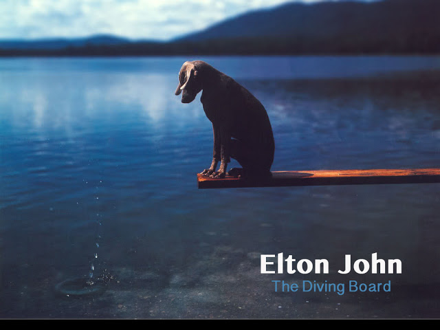 Copertina The Diving Board